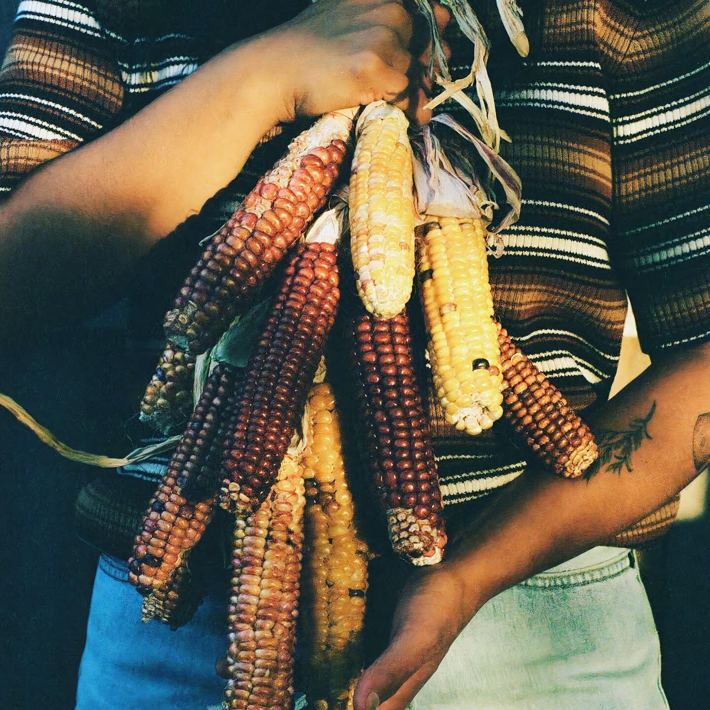 @_challahgram is an indigenous urban farmer who embraces &amp; leans on their roots as a member of the Tlingit Nation. Kirsten farms at Leil&uacute;, an Indigenous food-sovereignty project just outside of Detroit, Michigan, on land originally named W