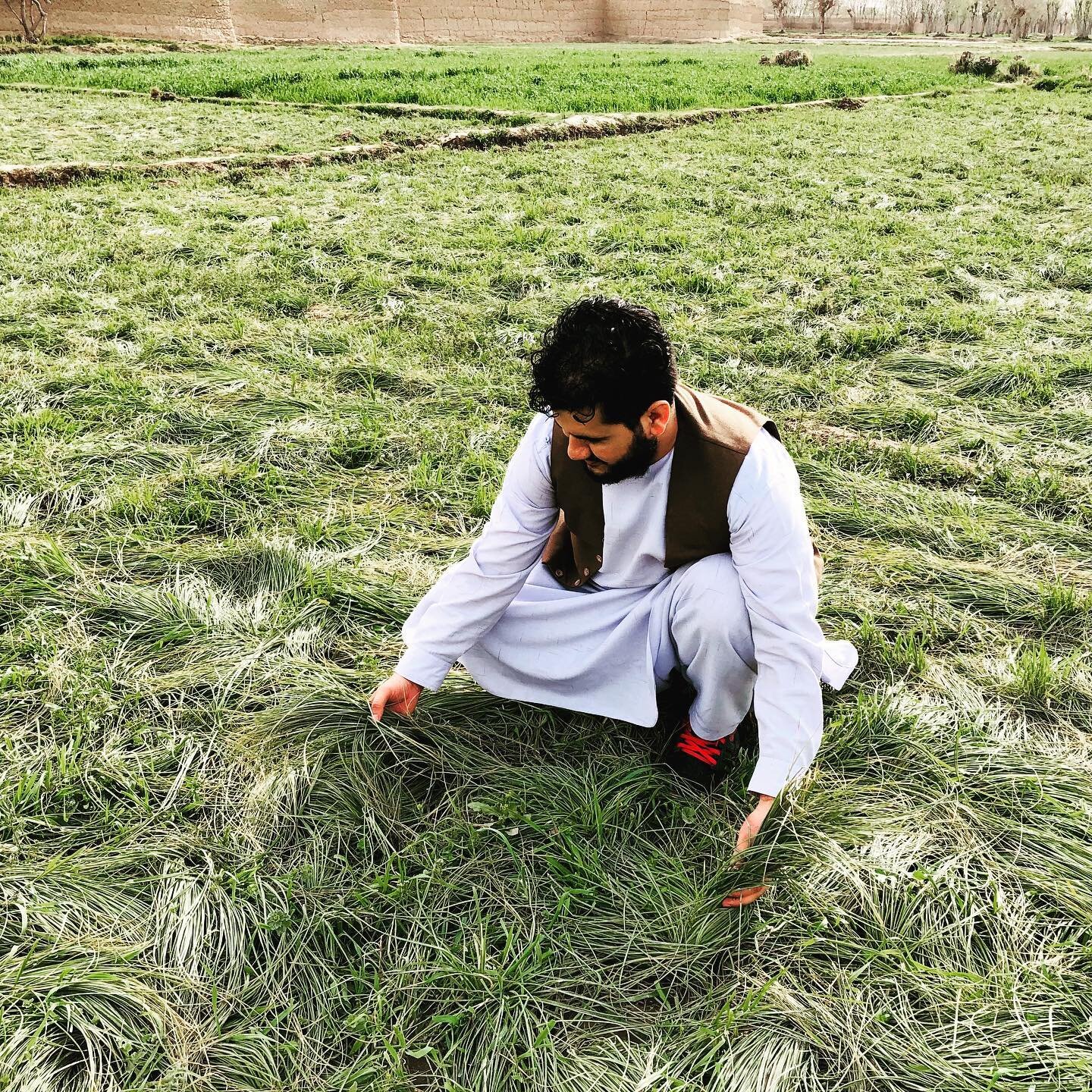 Mohammad Salehi of @herayspice grew up in a family of farmers in Afghanistan, where they face a unique set of challenges: drought and lack of water, war, and life-threatening insecurity, and the threat of the Taliban – who have control and