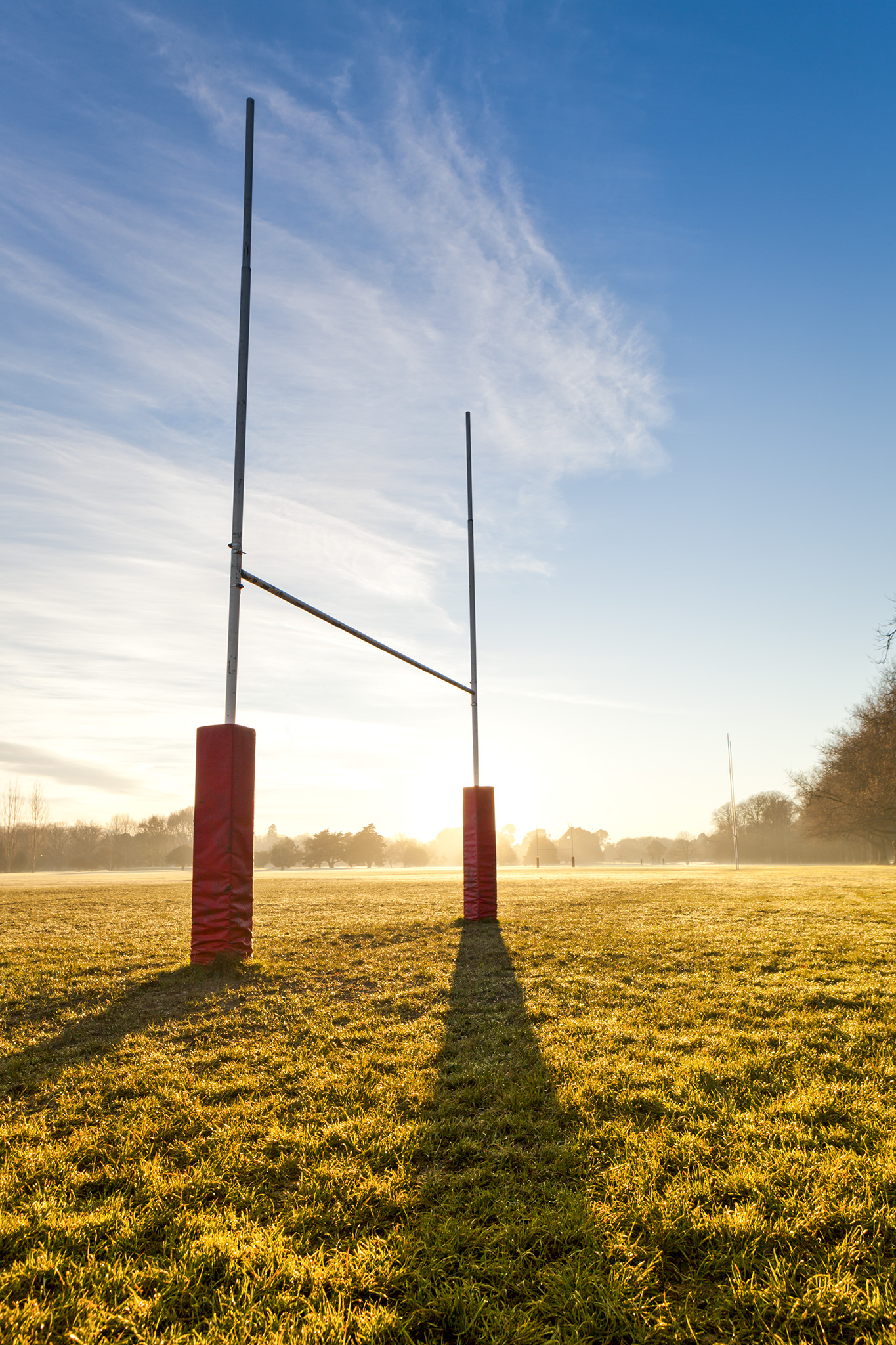 Rugby posts on a frosty morning, Hagley Park