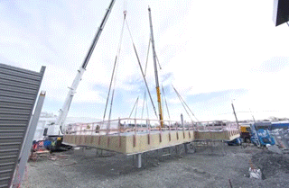 canopy-timelapse.gif.gif