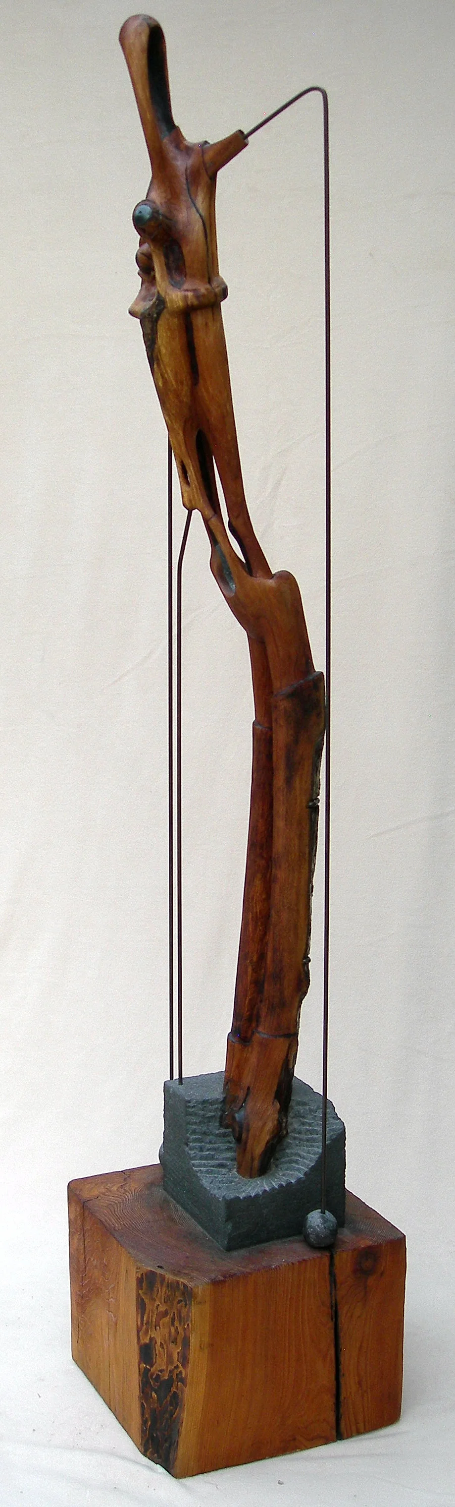 DSCN5387.JPG