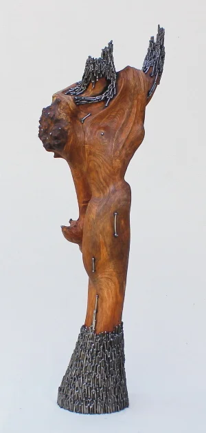 Liberty5 resize smallest.JPG