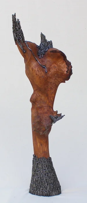 Liberty8resiaze smallest.JPG