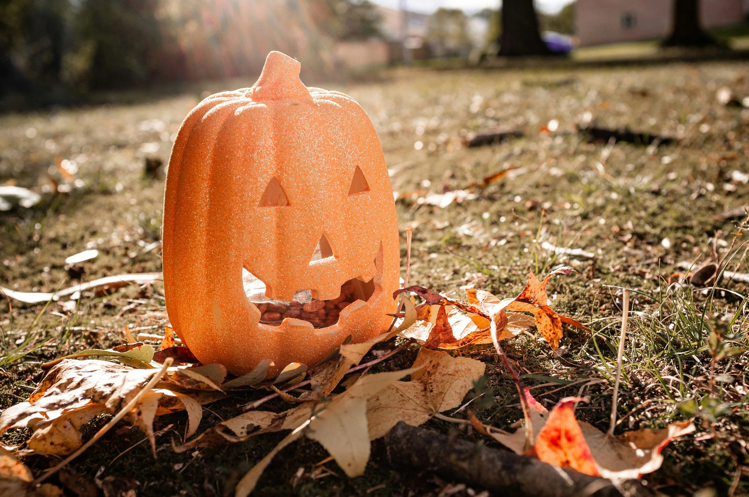Things That Go Bump in the Crawlspace: Real Life Home Inspection "Horrors" (And How to Fix Them!)