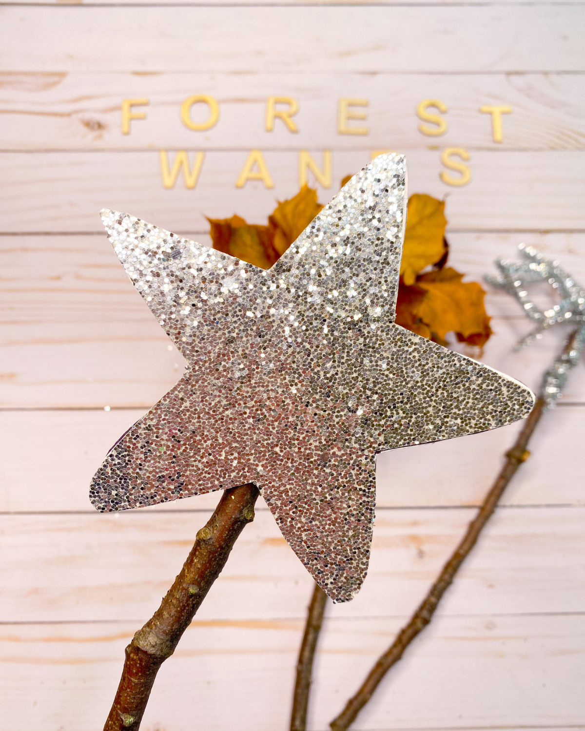Fall-crafts-for-kids-magical-forest-wands-star.png