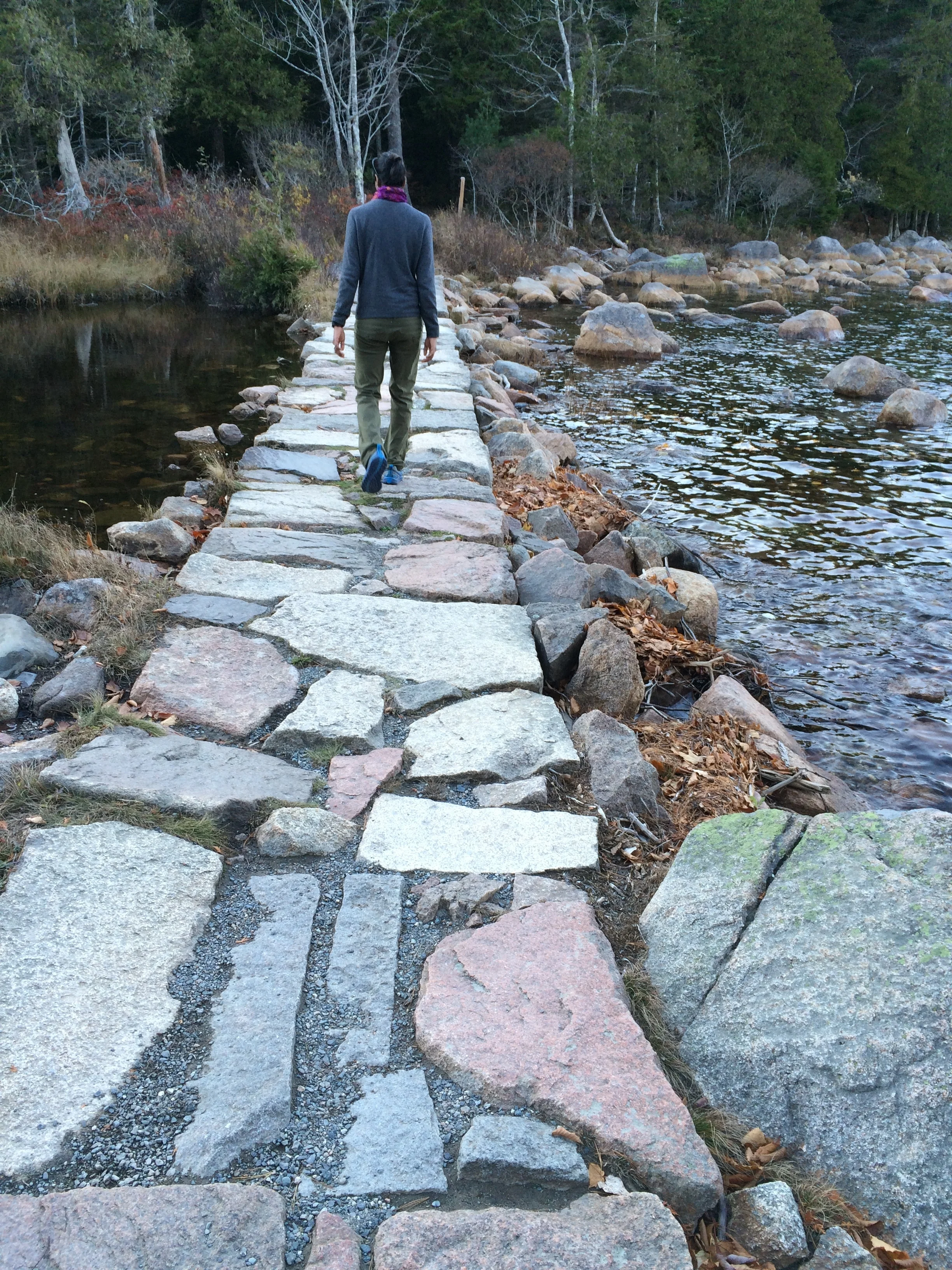 A Proposal (For Those Who Want to Play/Love/BE Outside) 