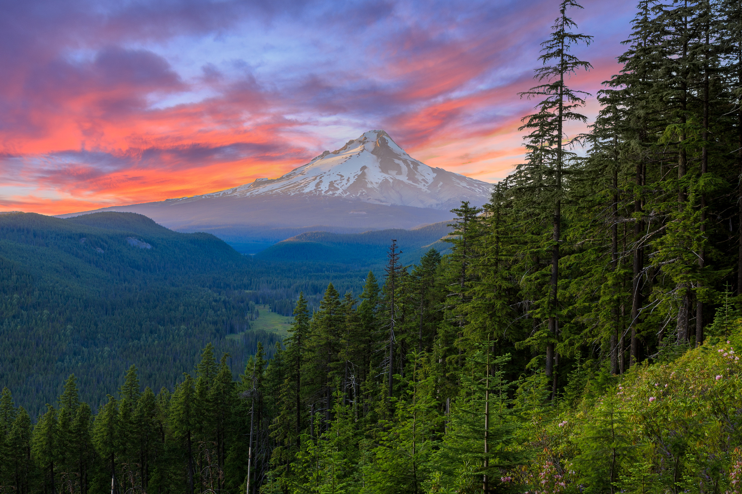 NwHomeStyles - Mt. Hood.jpg