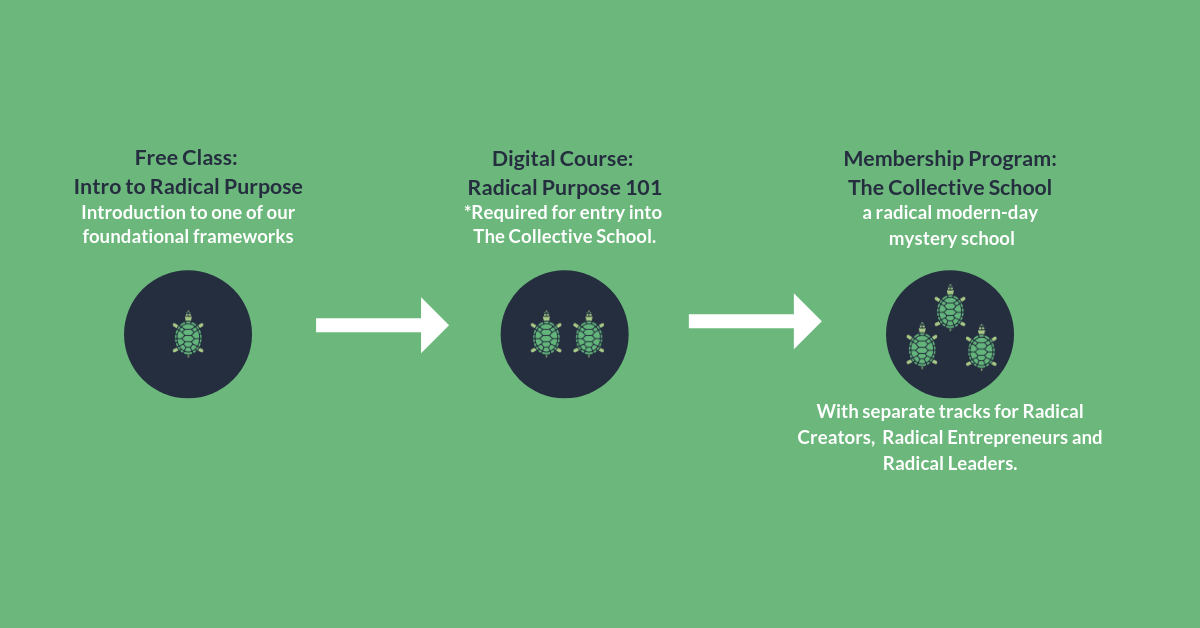 SRP_how we work_horizontal_green v2.png