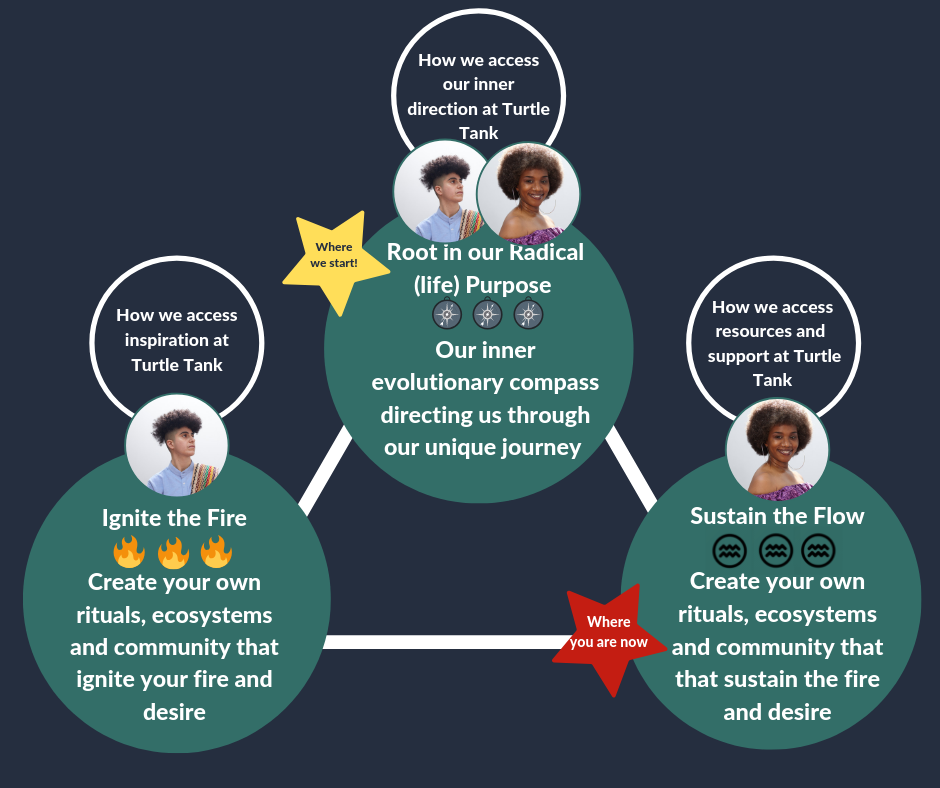 How We Work at TT v2.png