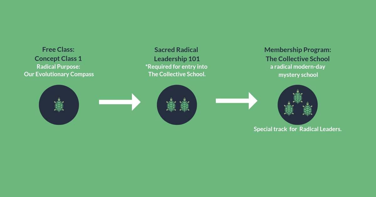 SRL_how we work_horizontal_green.png