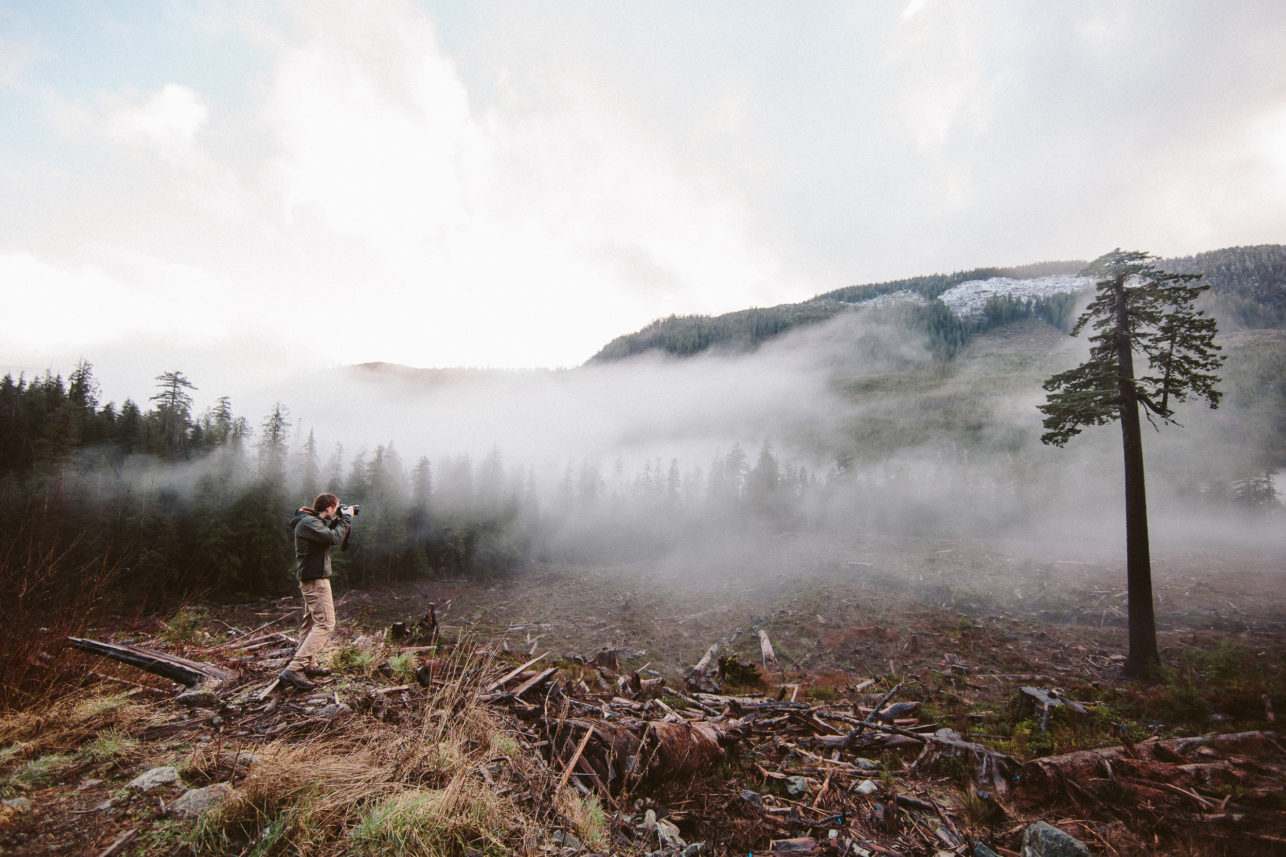 04-Vancouver-Island-BC-Old-Growth-Forests-Logging-Port-Renfrew-Big-Lonely-Doug.jpg