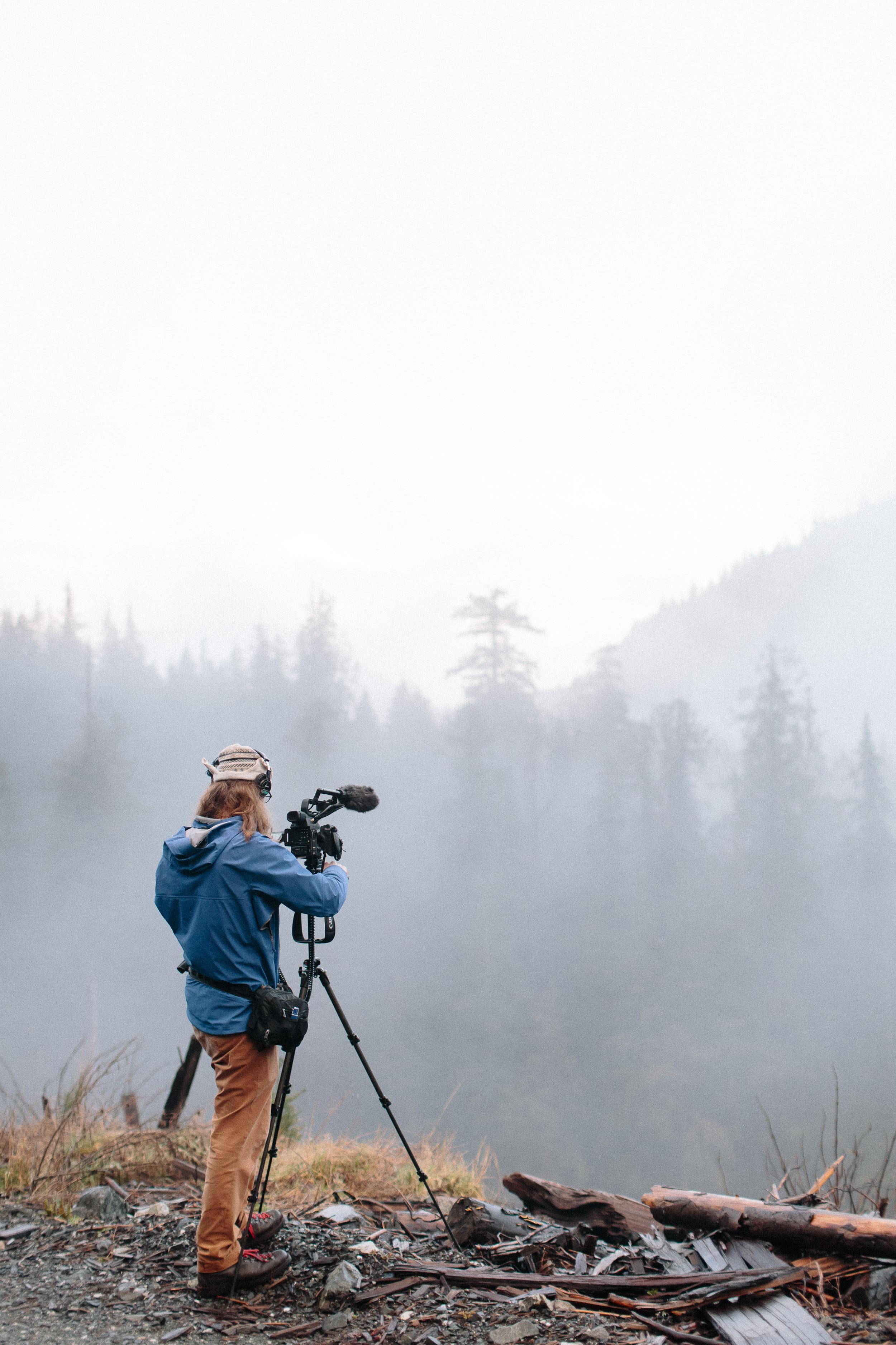 08-Vancouver-Island-BC-Old-Growth-Forests-Logging-Port-Renfrew-Big-Lonely-Doug.jpg