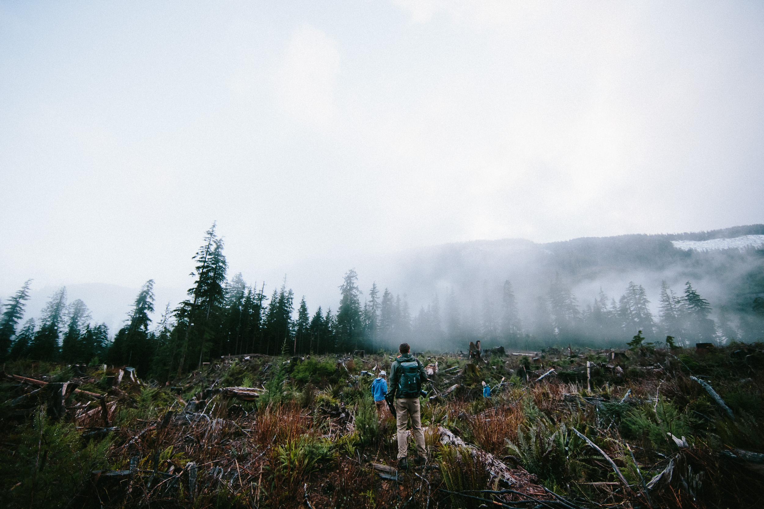 10-Vancouver-Island-BC-Old-Growth-Forests-Logging-Port-Renfrew-Big-Lonely-Doug.jpg