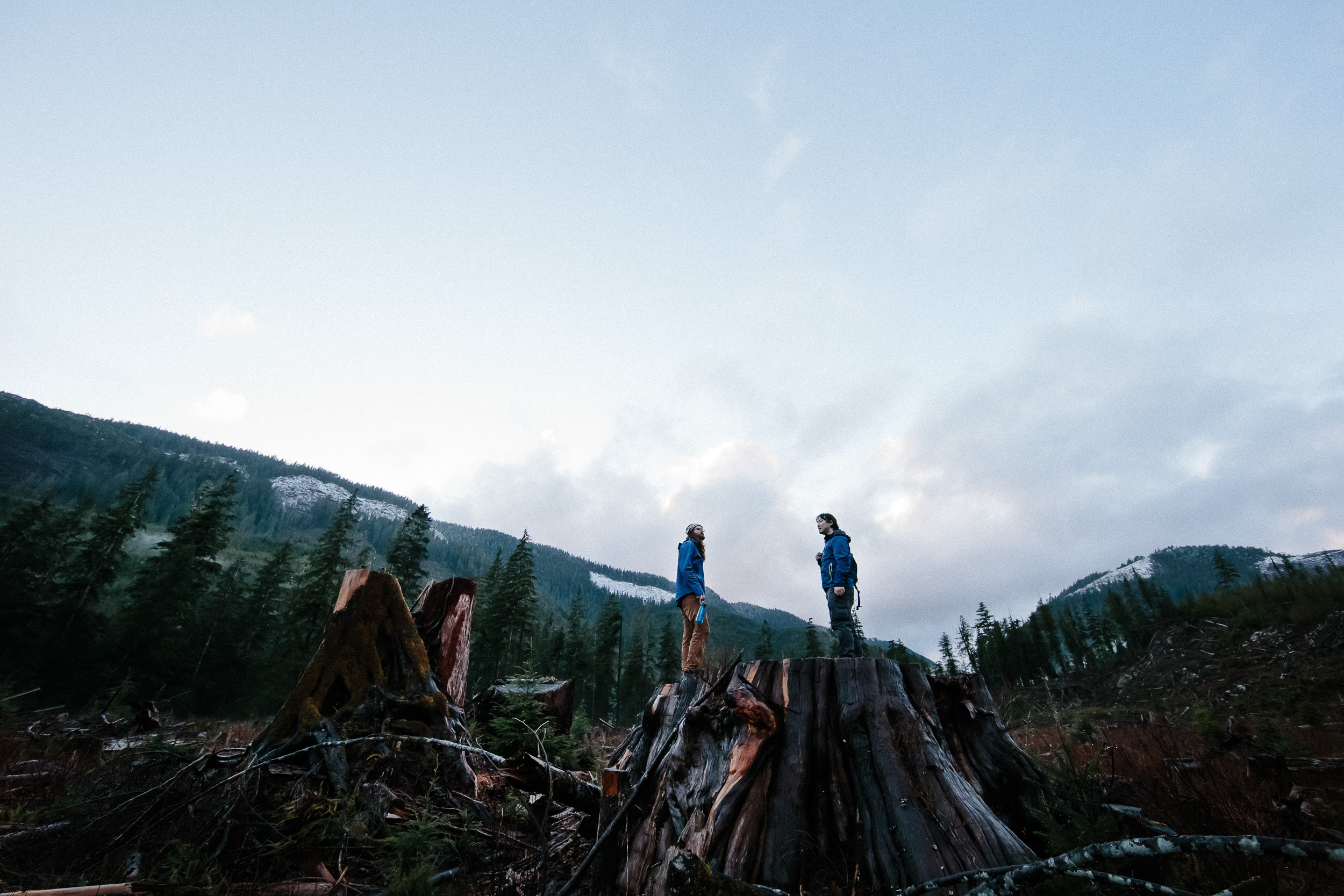 13-Vancouver-Island-BC-Old-Growth-Forests-Logging-Port-Renfrew-Big-Lonely-Doug.jpg