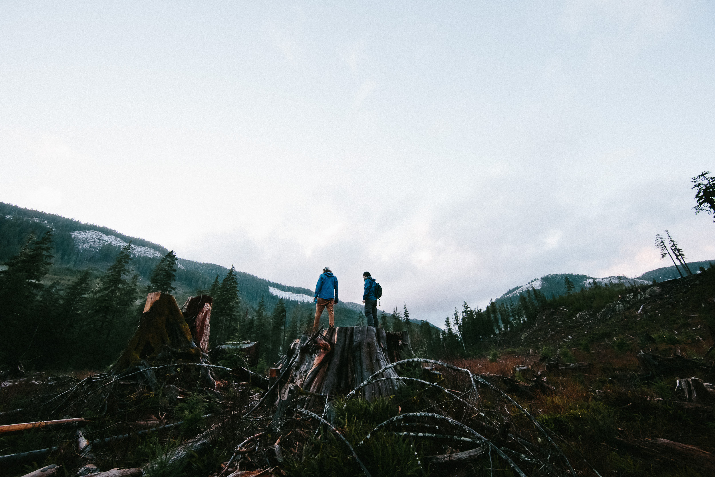 14-Vancouver-Island-BC-Old-Growth-Forests-Logging-Port-Renfrew-Big-Lonely-Doug.jpg