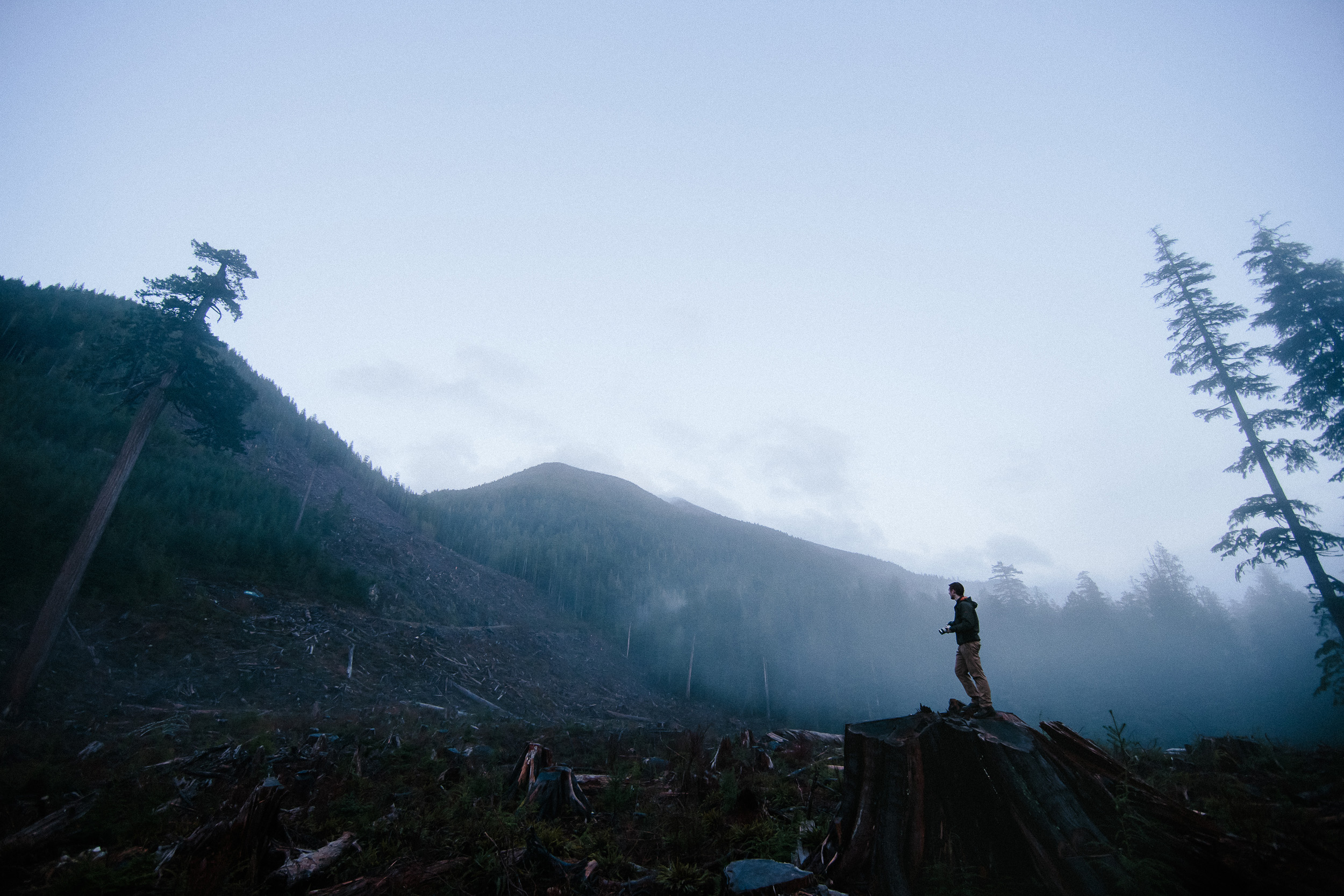 17-Vancouver-Island-BC-Old-Growth-Forests-Logging-Port-Renfrew-Big-Lonely-Doug.jpg