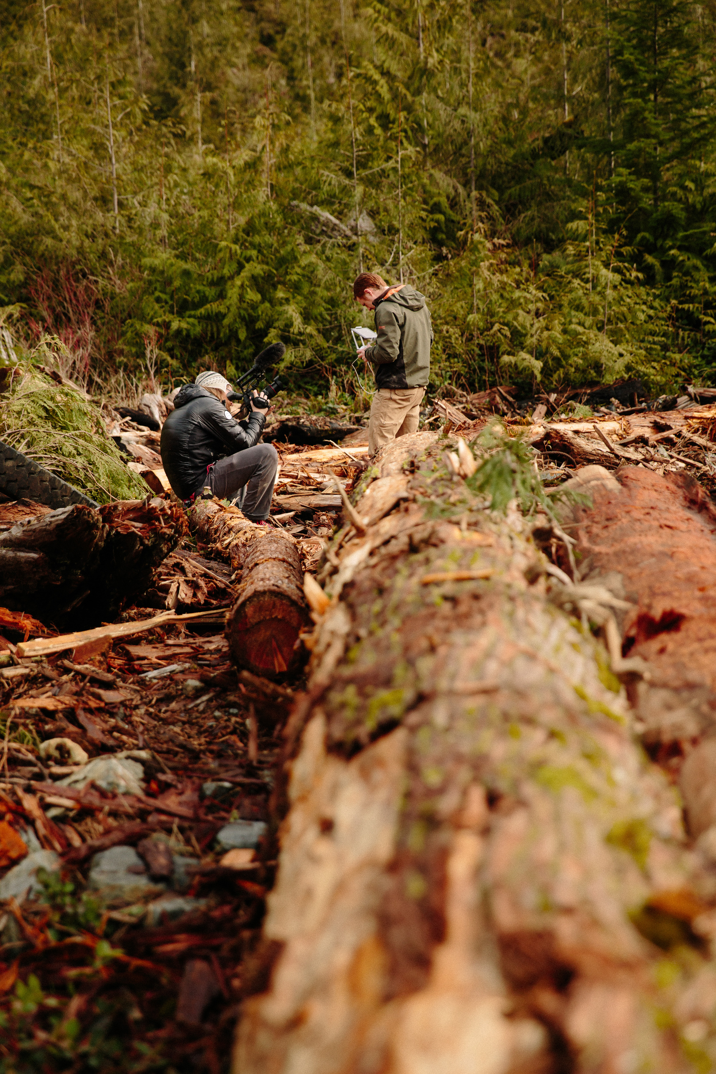 17-ancouver-Island-BC-Carmanah-Walbran-Valley-Old-Growth-Forest-Clearcut-Devastation.jpg