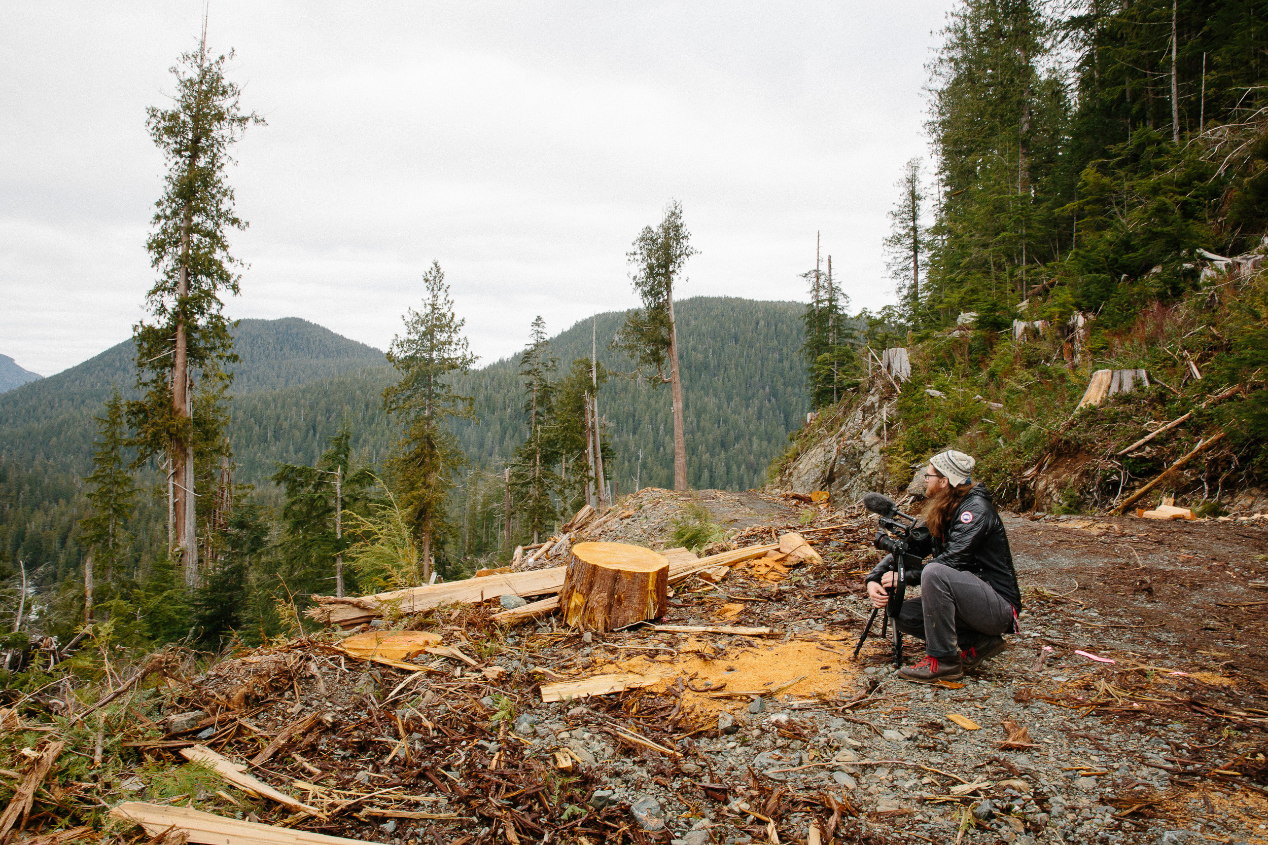 19-Vancouver-Island-BC-Carmanah-Walbran-Valley-Old-Growth-Forest-Clearcut-Devastation.jpg