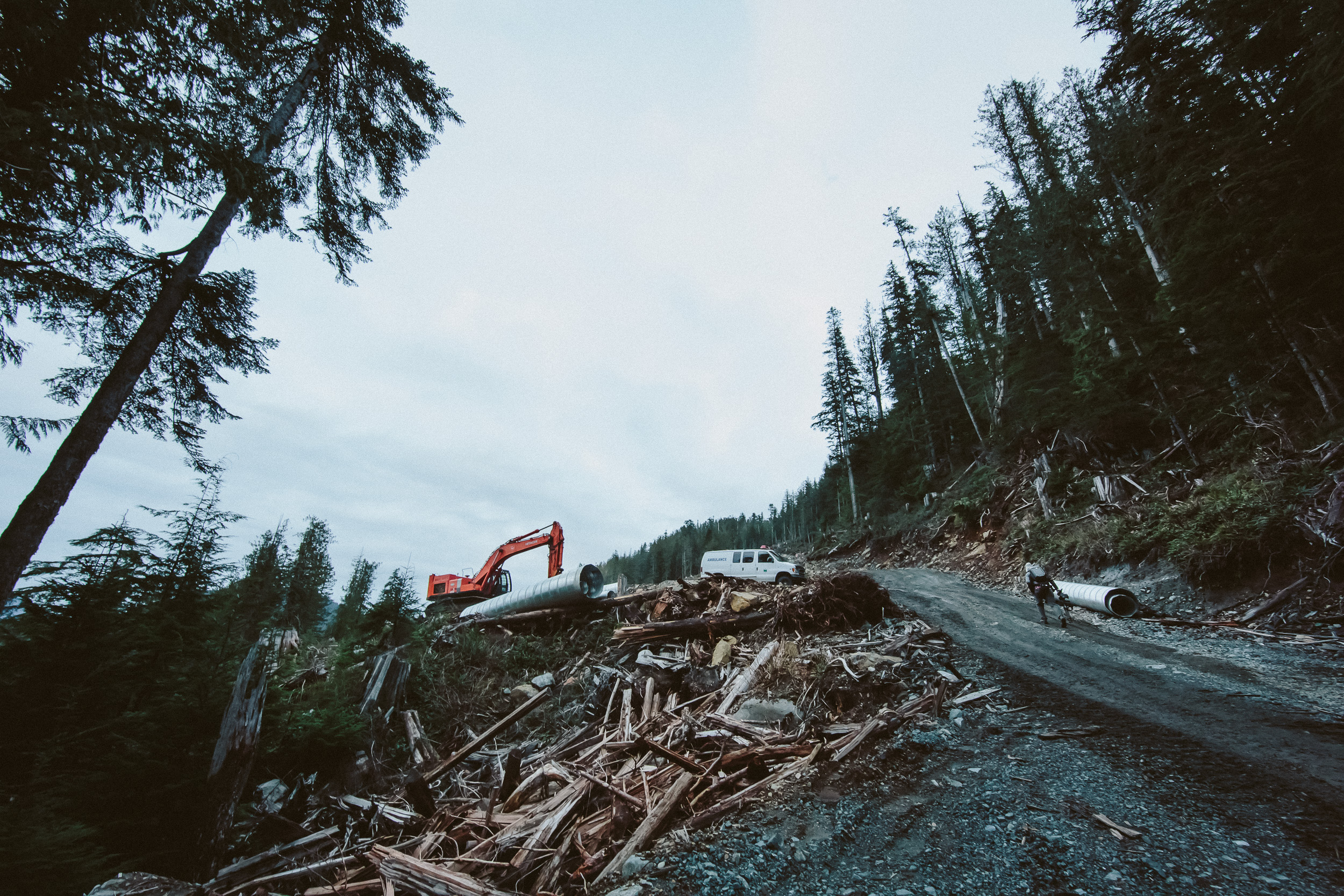 01-Vancouver-Island-BC-Walbran-Valley-Old-Growth-Teal-Jones-Active-Logging-Work-Site.jpg