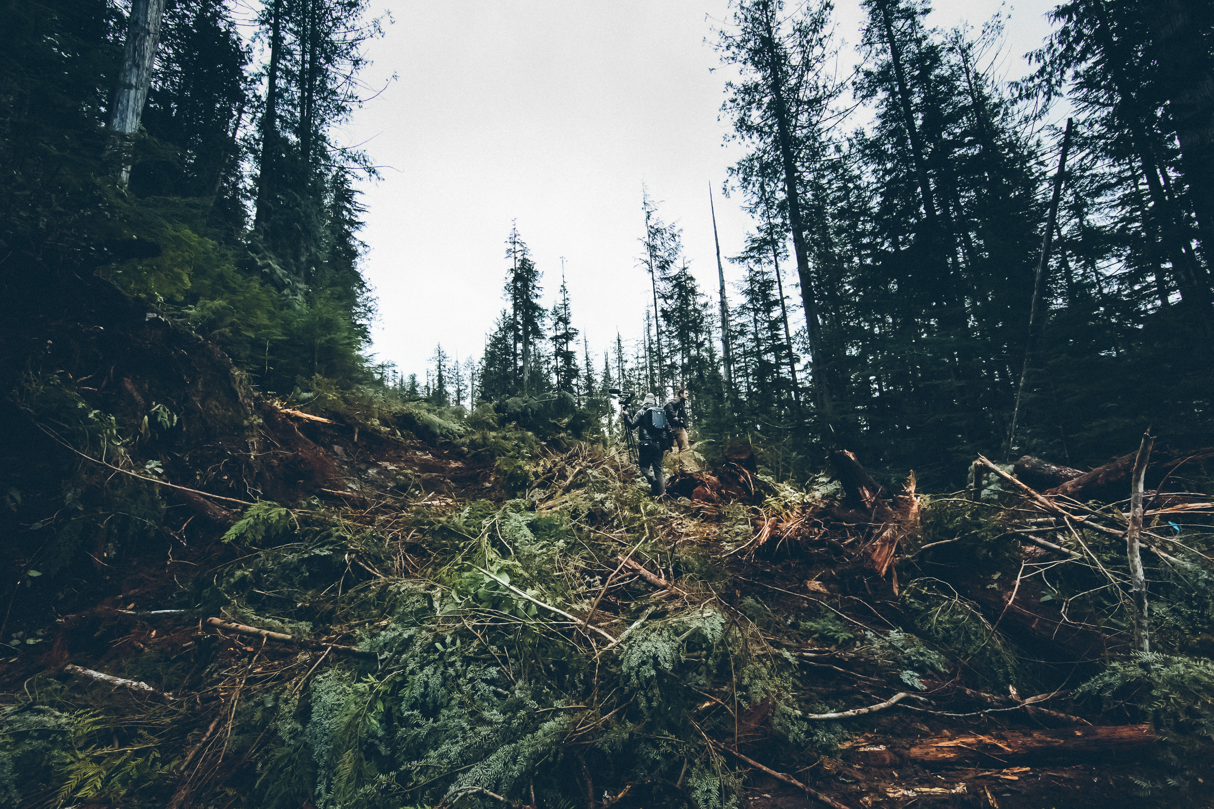 03-Vancouver-Island-BC-Walbran-Valley-Old-Growth-Teal-Jones-Active-Logging-Work-Site.jpg