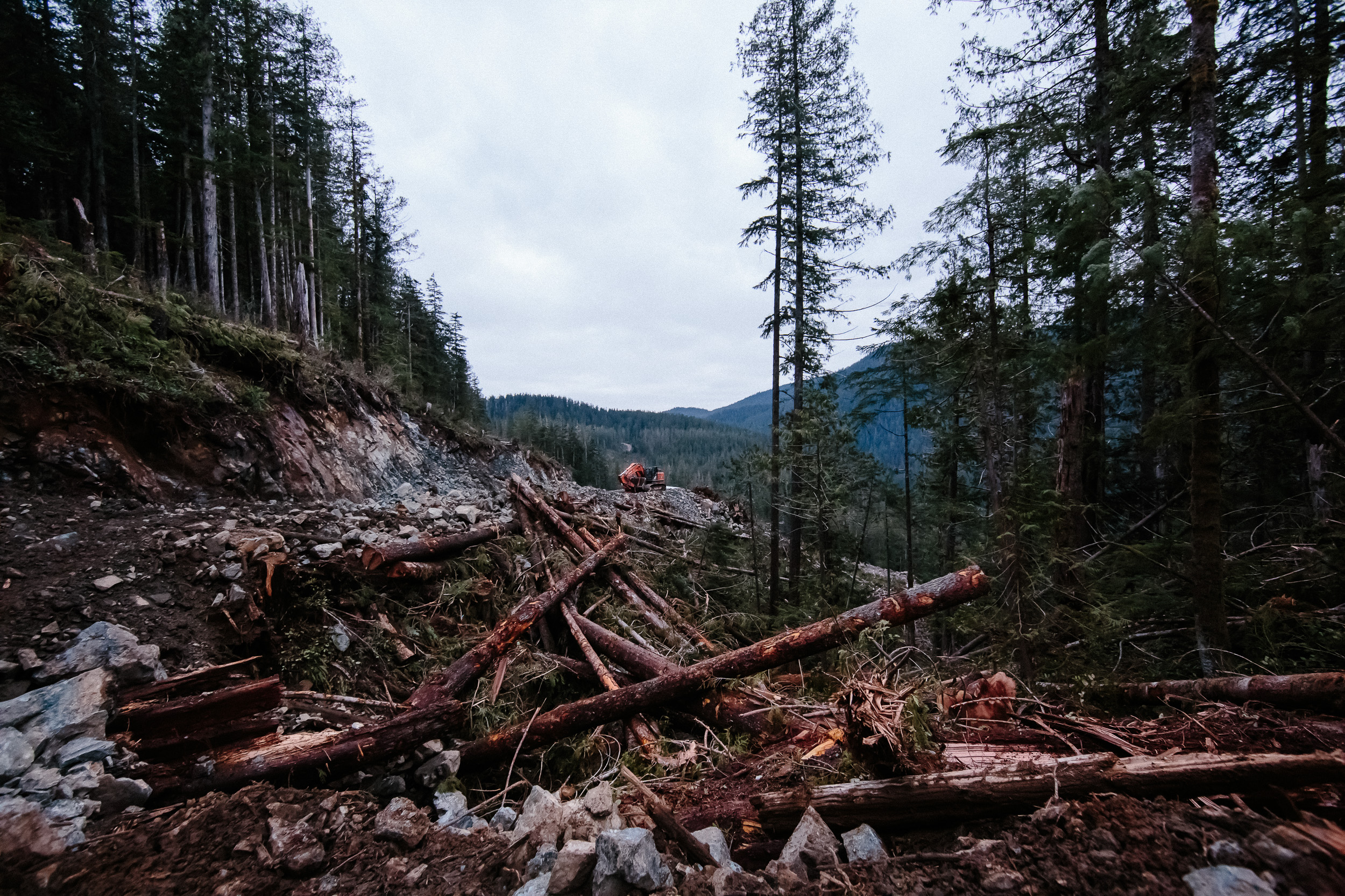 05-Vancouver-Island-BC-Walbran-Valley-Old-Growth-Teal-Jones-Active-Logging-Work-Site.jpg