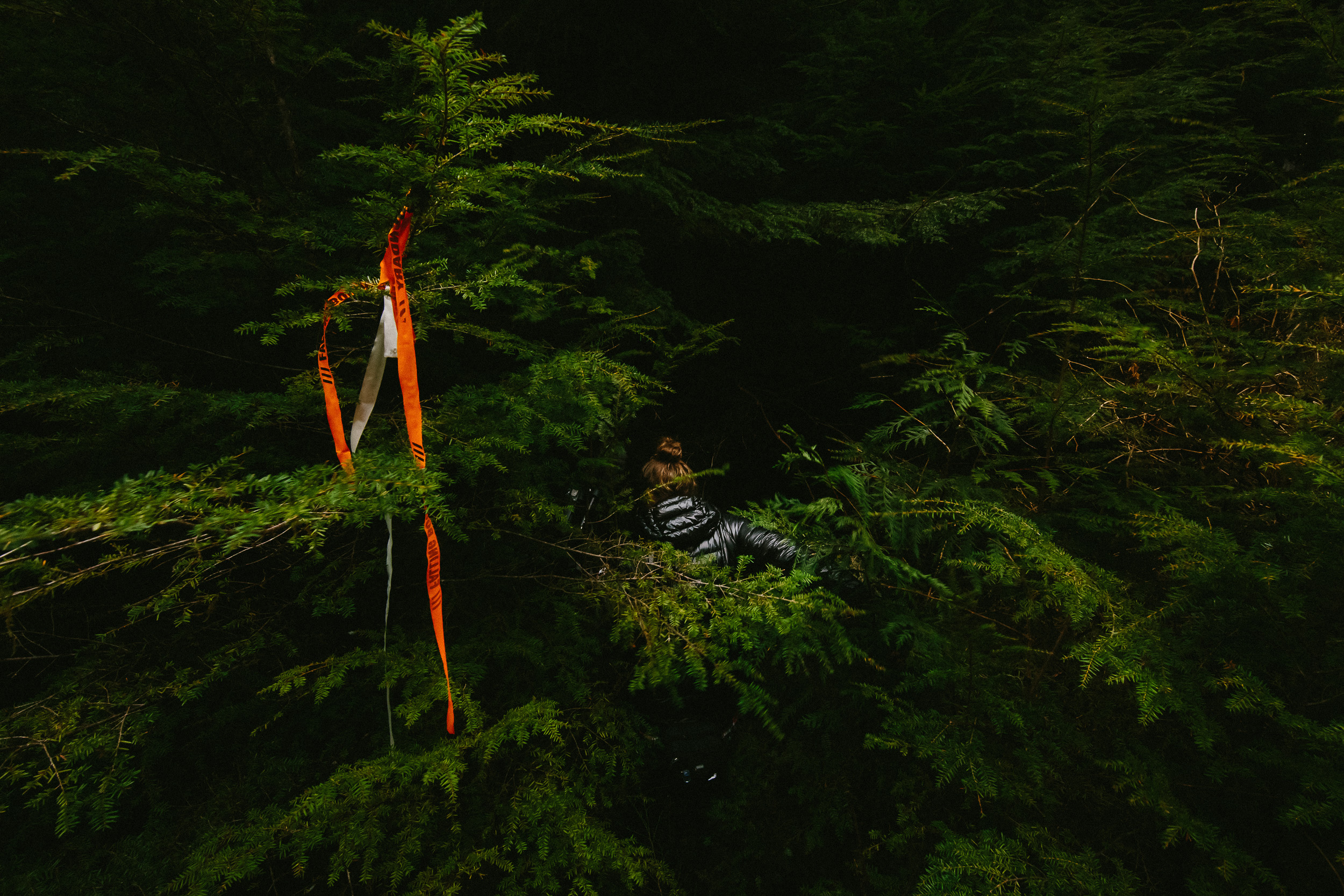 08-Vancouver-Island-BC-Carmanah-Walbran-Valley-Old-Growth-Forest-Planned-Clearcut-Block.jpg