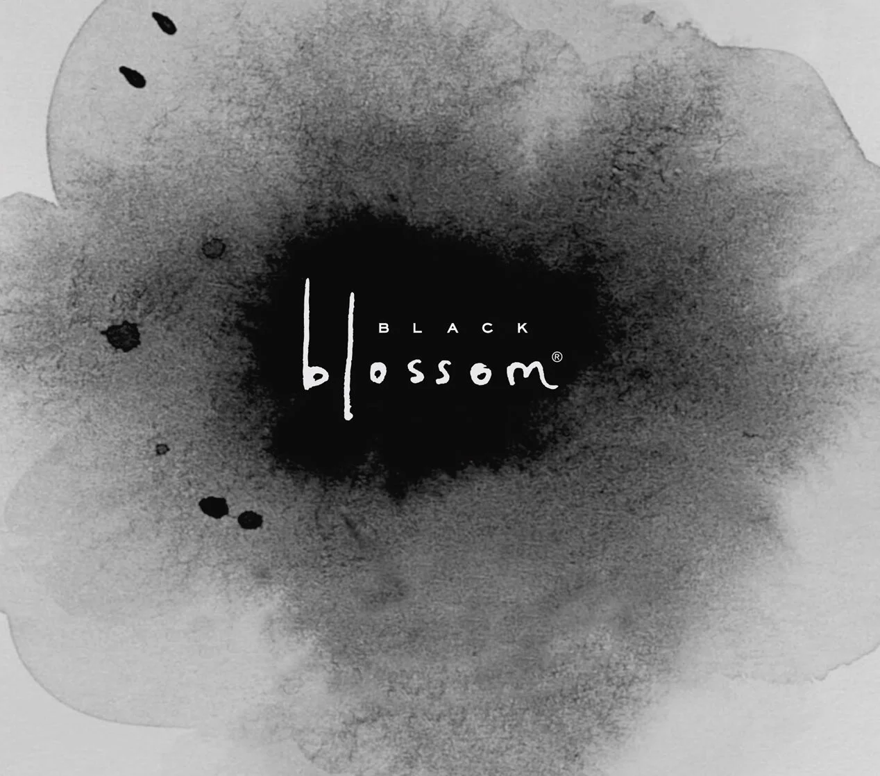 BlackBlossom_BoigImage.jpg