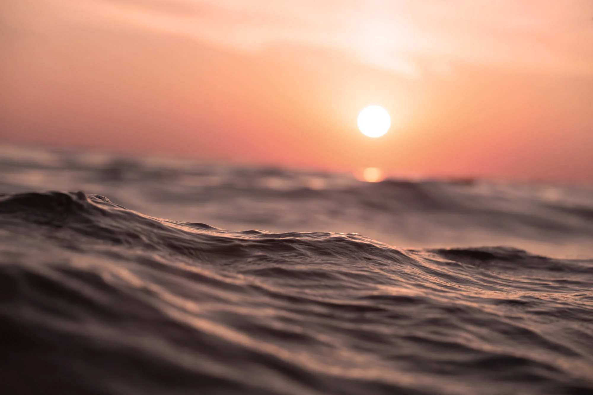 ocean.jpg