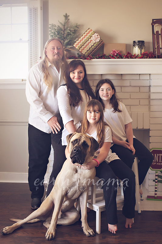 sdholidaymini-218.jpg