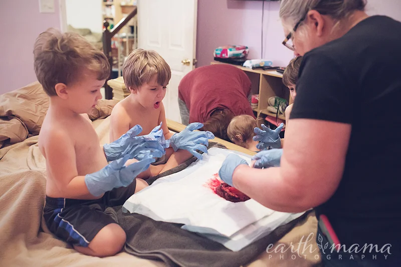 cllysanderbirth_02_16_16-513.jpg