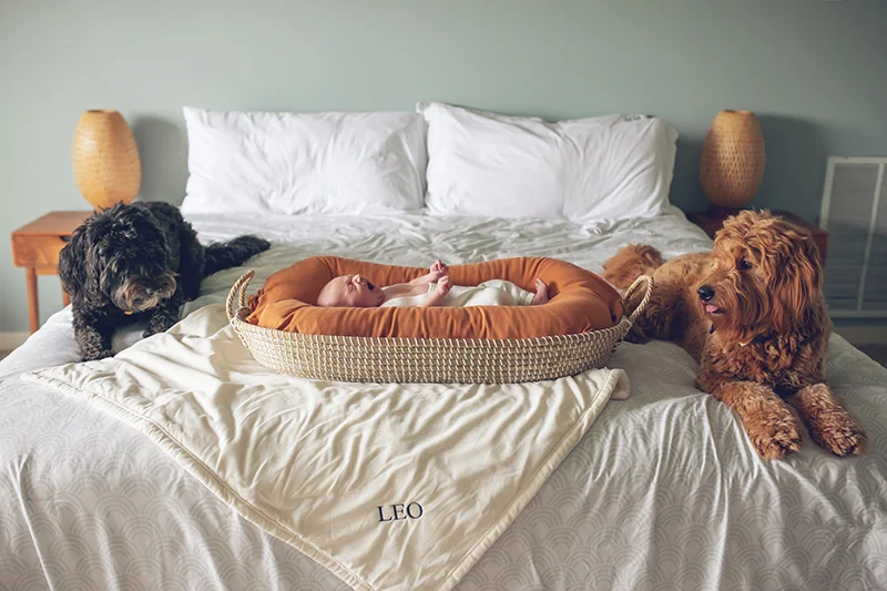lynewborn_10_22_18-106.jpg