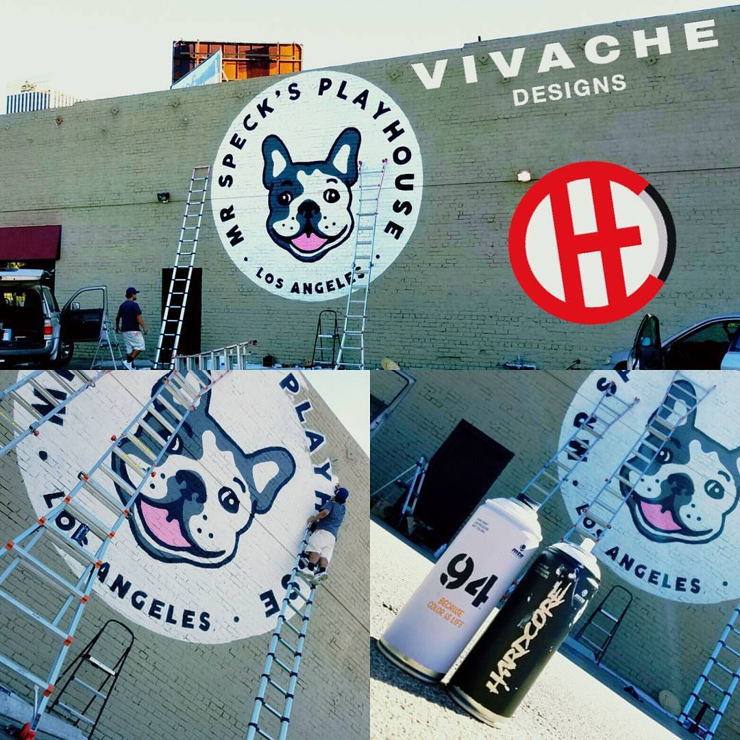 Mural Painter Vivache Designs Custom Mural Painting