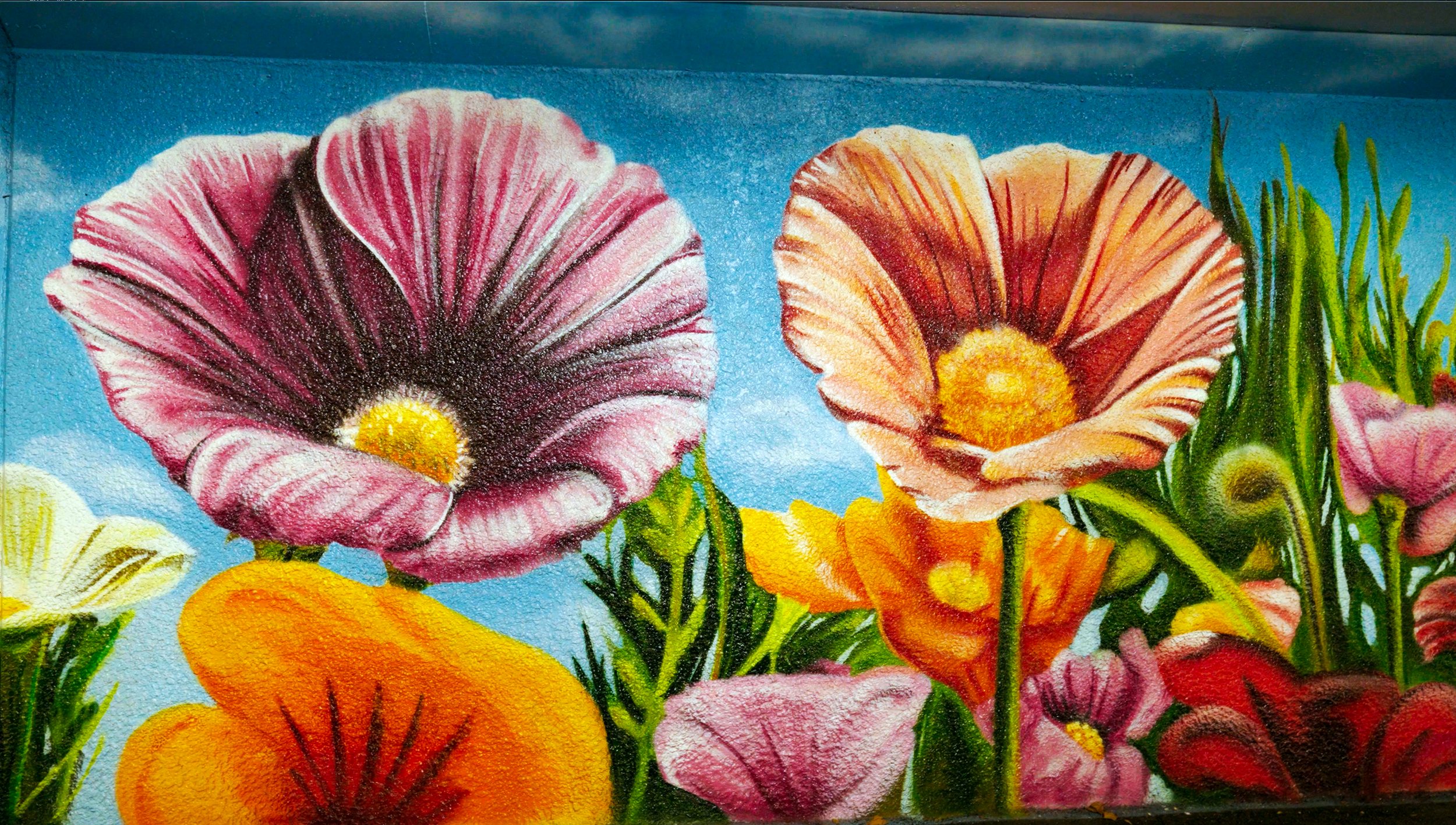 Brightly colored floral mural of large pink, orange, and yellow flowers on tunnel walls with a path leading to daylight at the end.