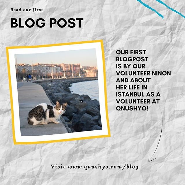 Bored from staying at home and nothing to do? Read our first blogpost by our volunteer Ninon from France about her time in Istanbul 🇫🇷🇹🇷. We have volunteers at Qnushyo from all over the word and many of them come for the first time to Istanbul 🌍