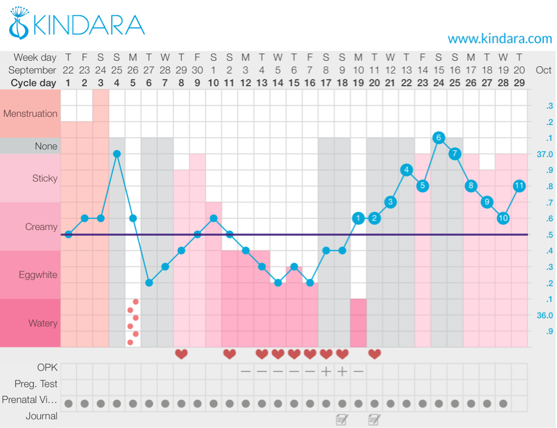 30 Day Cycle Ovulation Chart