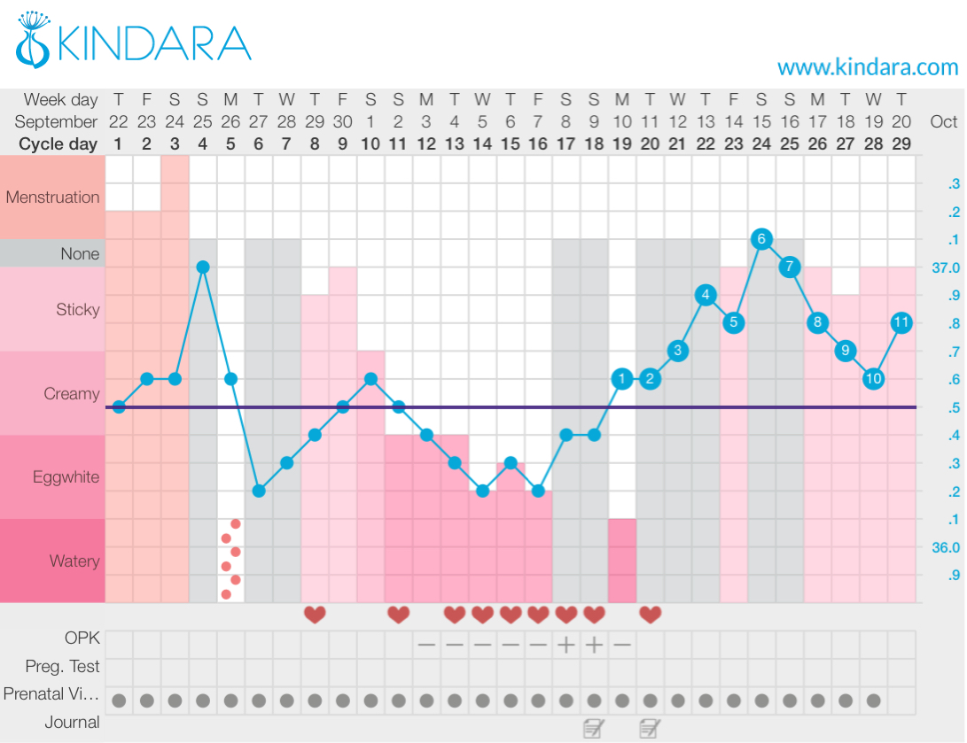 Ovulation Chart For 28 Day Cycle