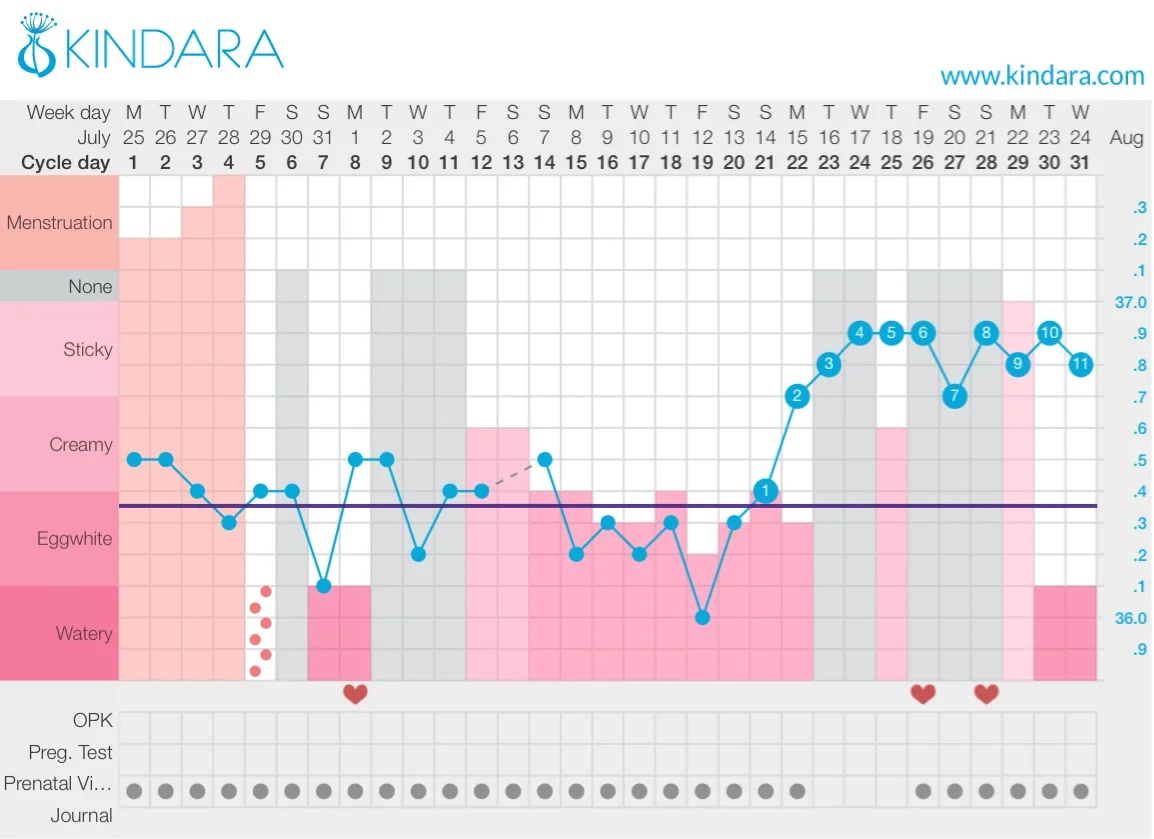 Book Review taking charge of your fertility by Toni Weschler