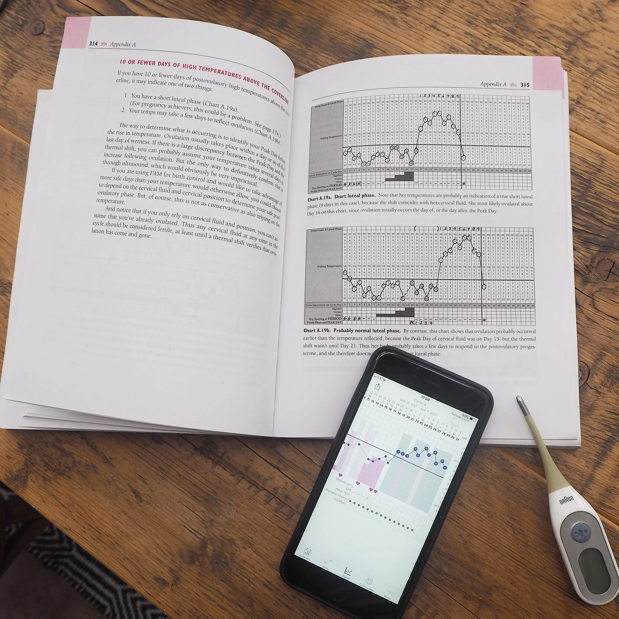 Book Review taking charge of your fertility by Toni Weschler