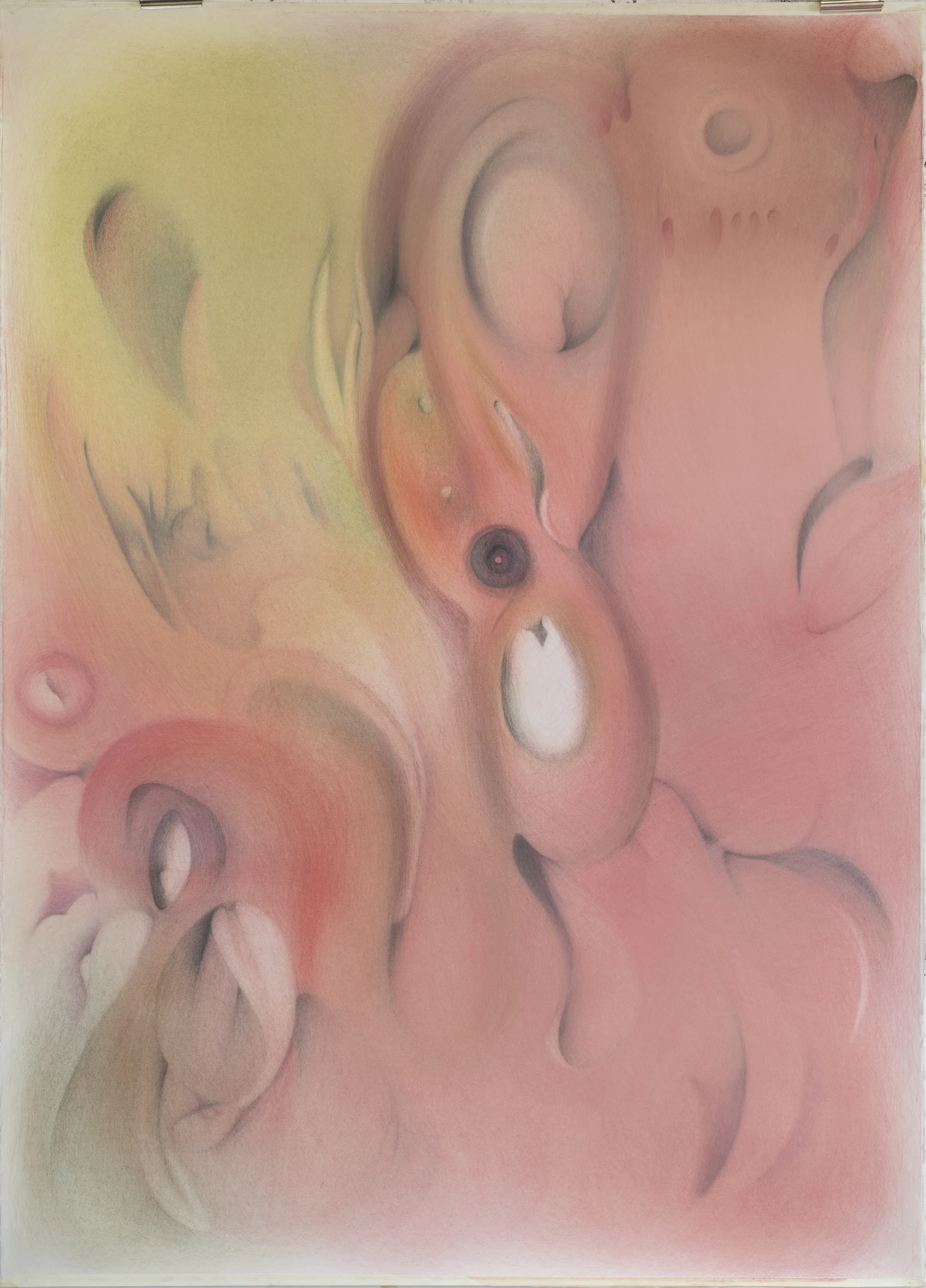 studie 3