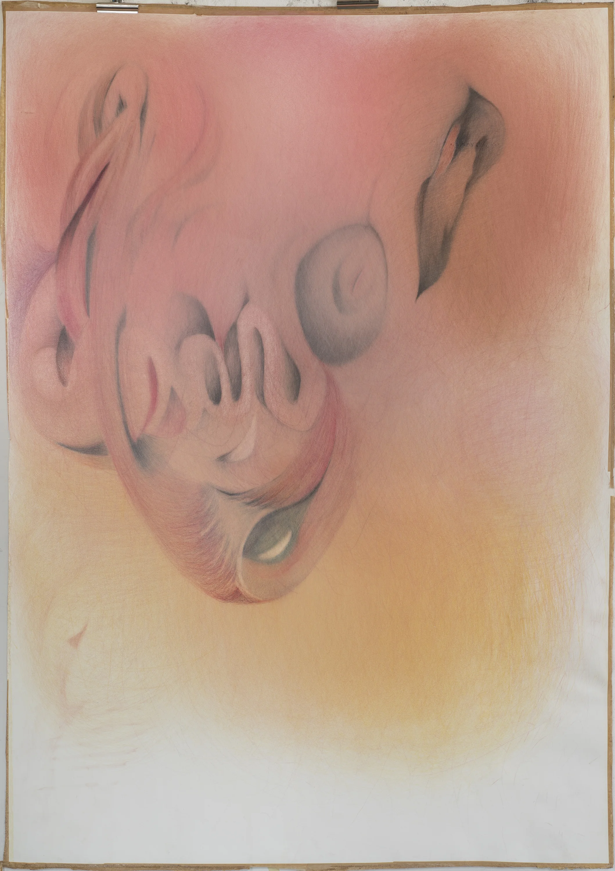 studie 4
