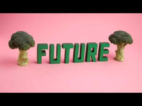 2017 Youth Ag-Summit | Belgium