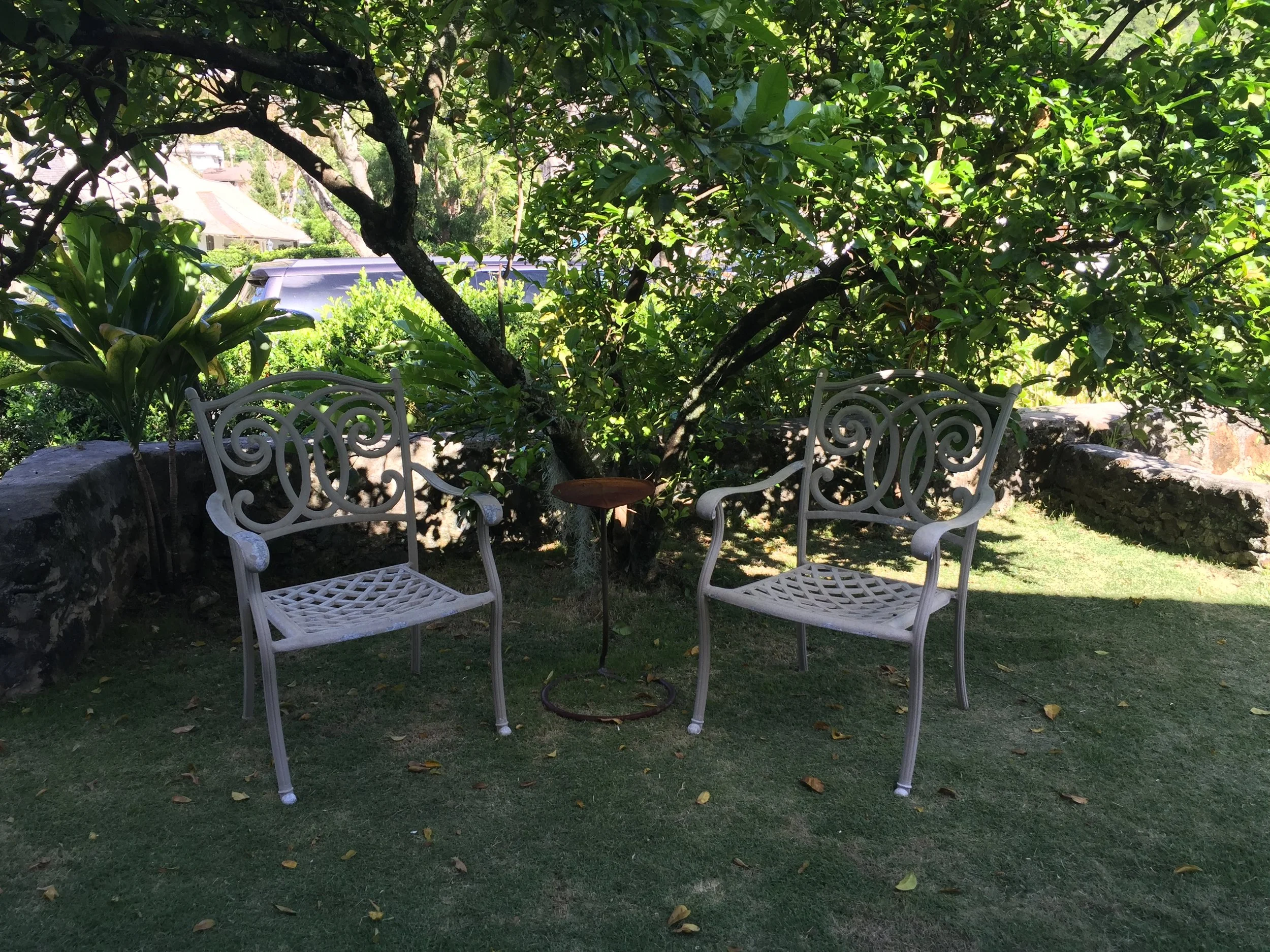 garden chairs together by tree.JPG