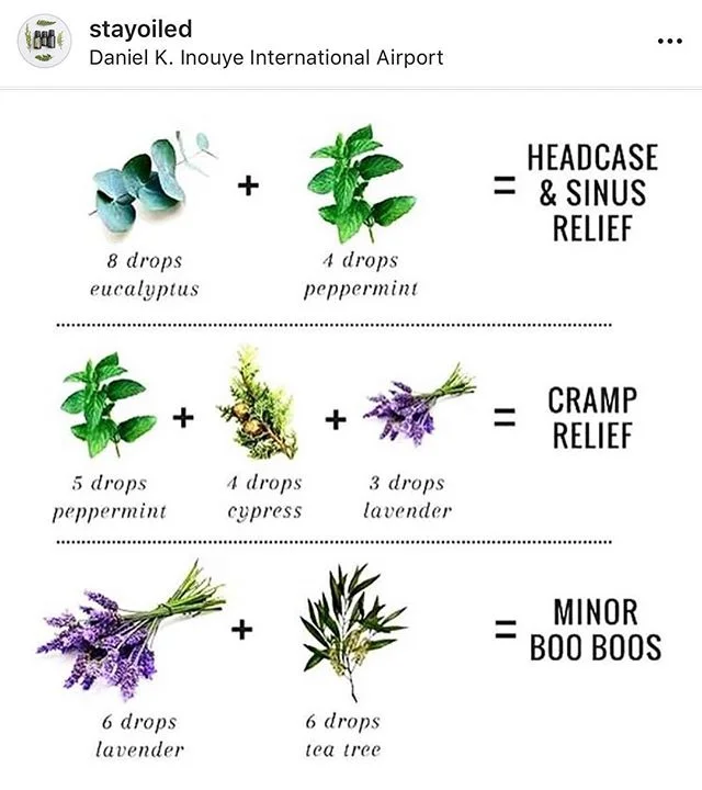 Repost from our babe @stayoiled ✌🏼check out her feed to find out why aromatic exposure to plants help you ❤️