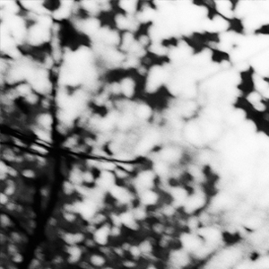 Photo: Jim Marsden