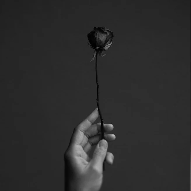 TheLanguageOfFlowers001BW.jpg