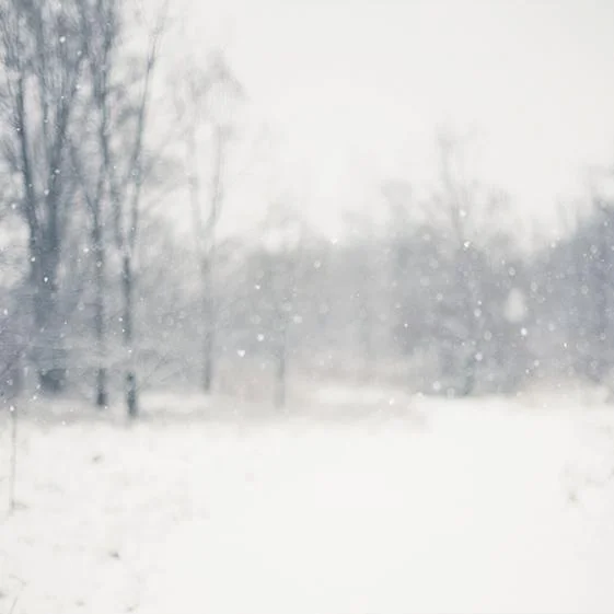 The Snows: Winter Retreat