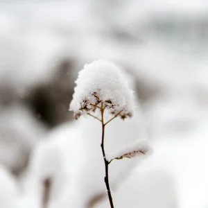 024 / There is no path