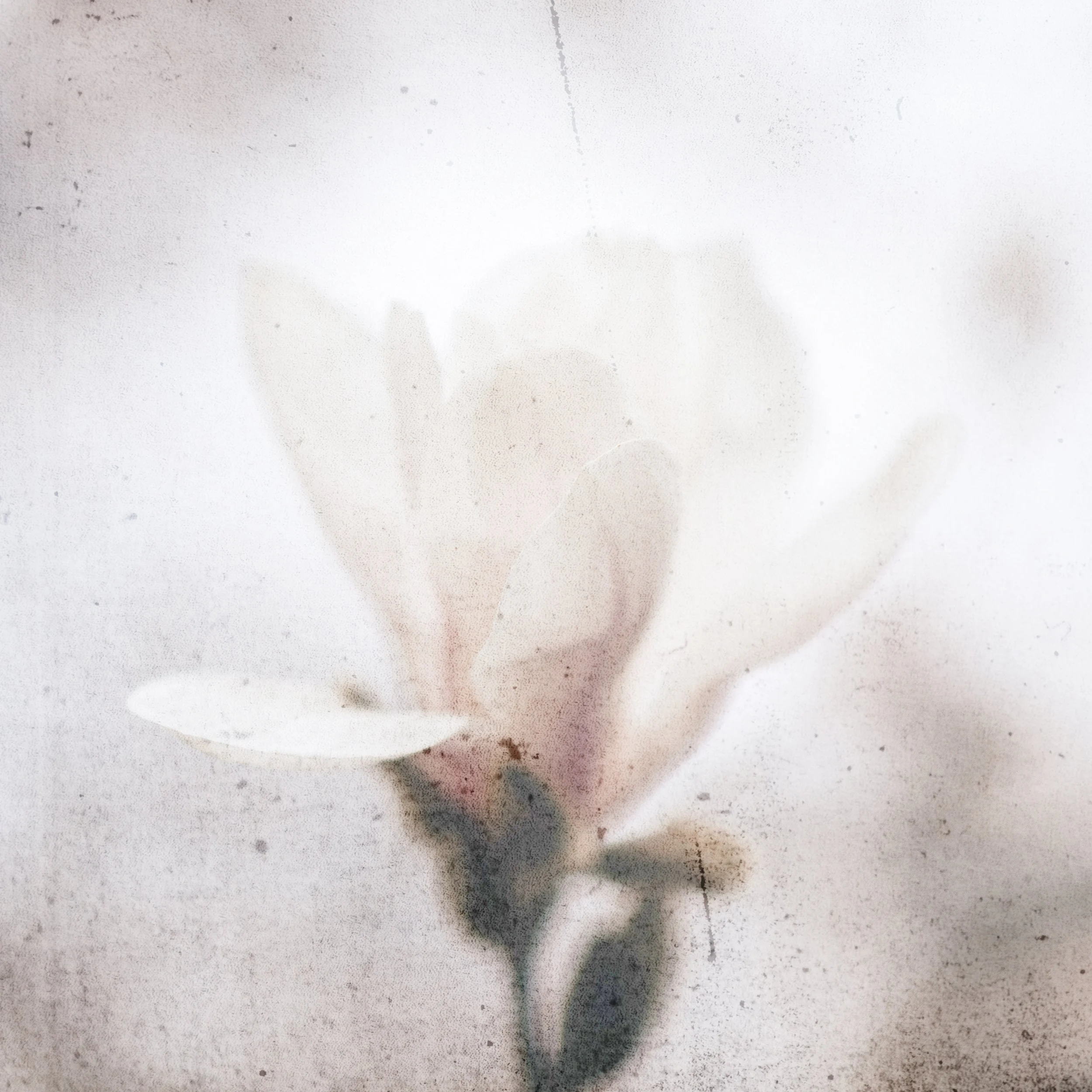 AlbumCover01.jpg