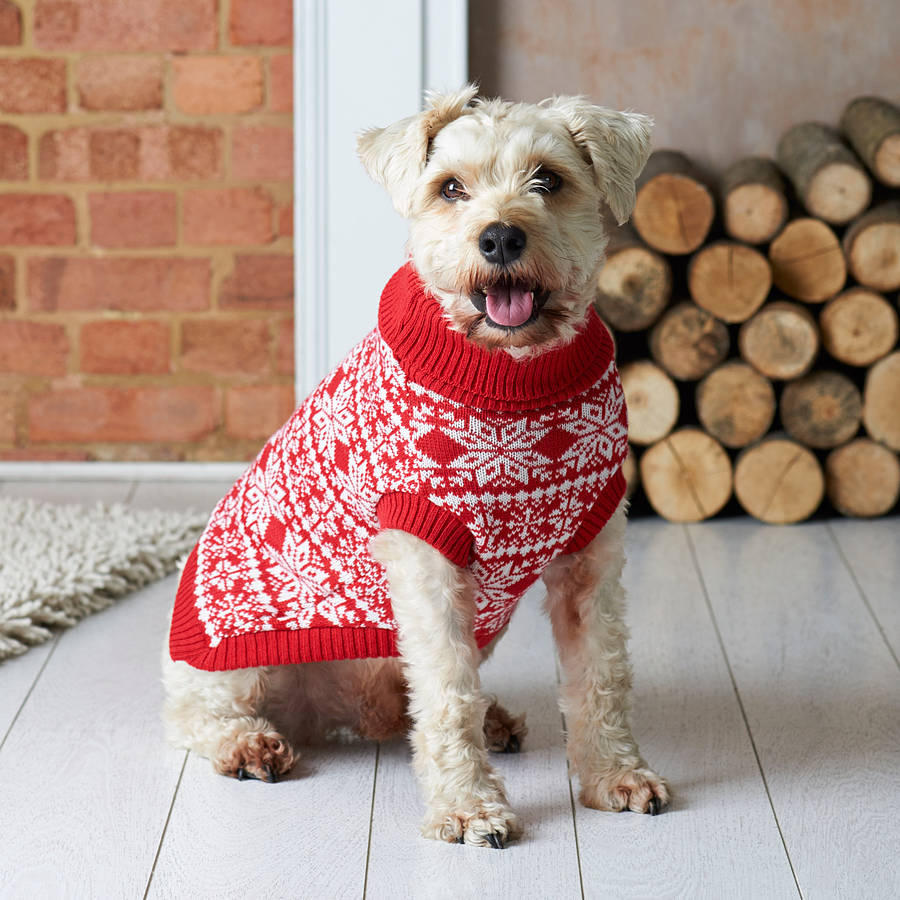 xmas jumper for dogs