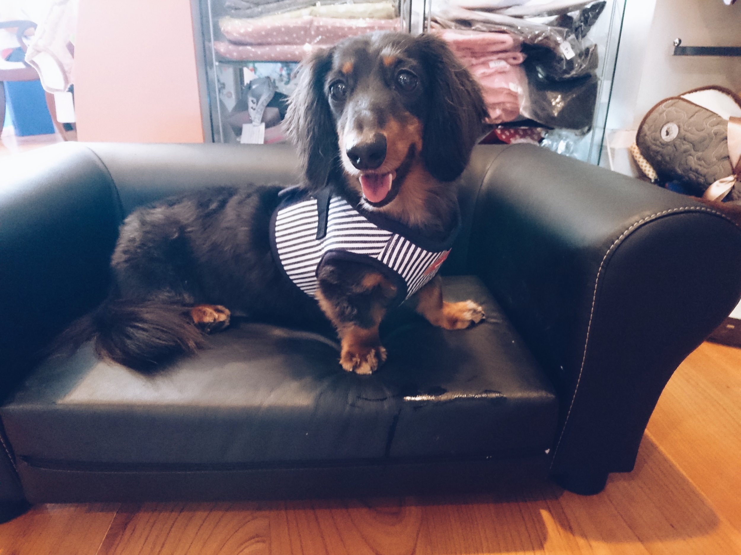 Trying on some clothes
